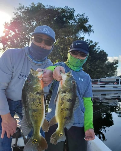 Fishing Frenzy! In Delray Beach