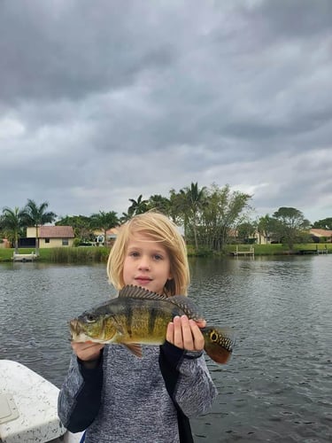 Fishing Frenzy! In Delray Beach