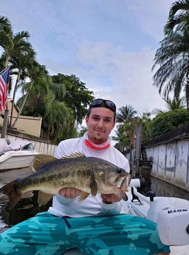 Fishing Frenzy! In Delray Beach