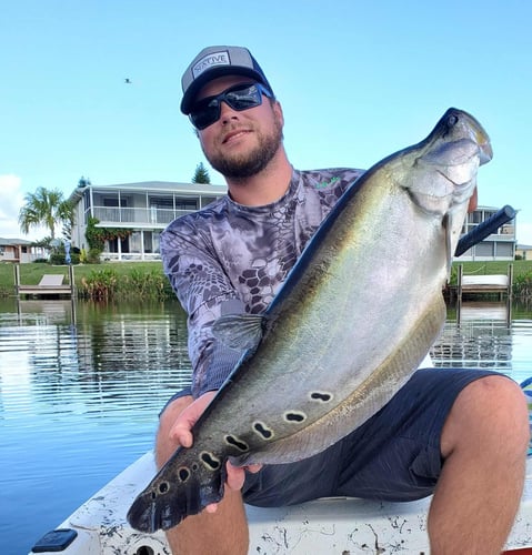 Fishing Frenzy! In Delray Beach