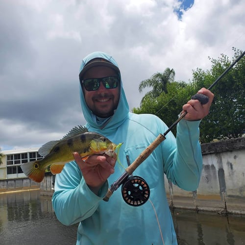 Fishing Frenzy! In Delray Beach