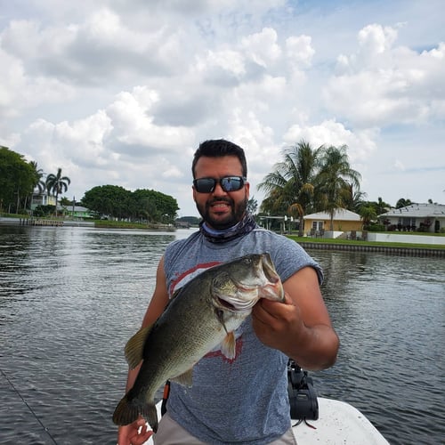 Fishing Frenzy! In Delray Beach