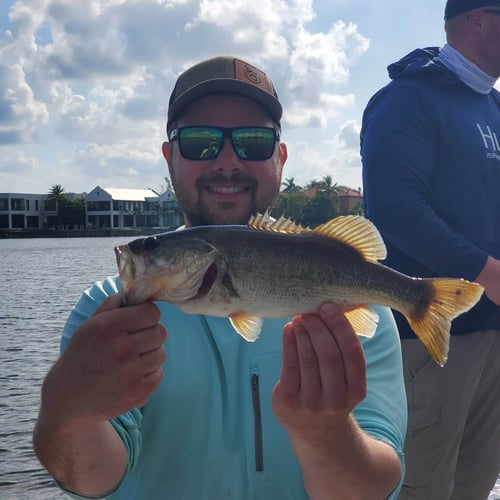 Fishing Frenzy! In Delray Beach