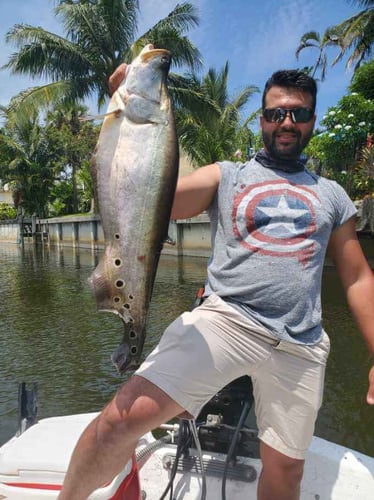 Fishing Frenzy! In Delray Beach