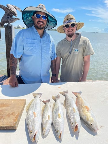 Half Day Bay - 24’ Kenner In Galveston