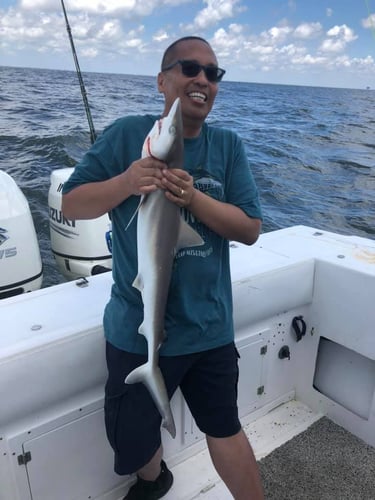 Half Day Jetty Trip - 21' Mako in Galveston