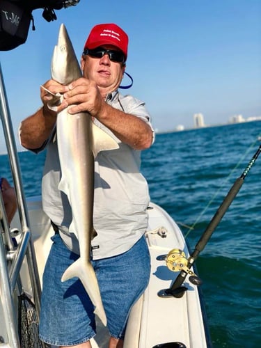 Half Day Jetty Trip - 21' Mako in Galveston
