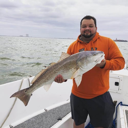 Half Day Jetty Trip - 21' Mako in Galveston