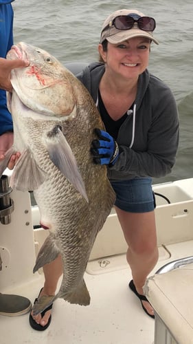 Epic Jetty Trip - 26' Angler In Galveston