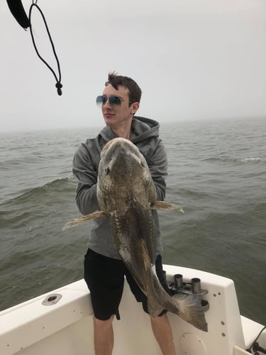 Epic Jetty Trip - 26' Angler In Galveston