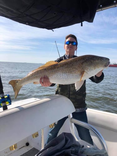 Half Day Jetty Trip - 21' Mako in Galveston
