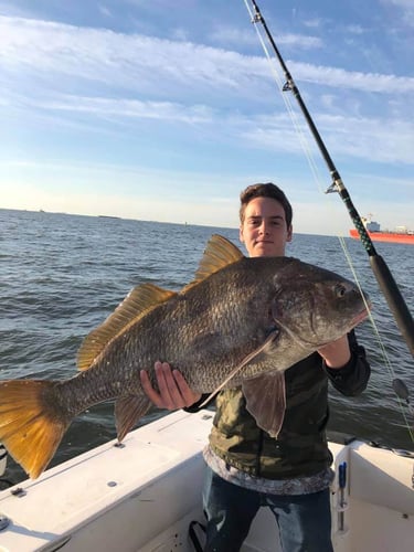 Epic Jetty Trip - 23' Edgewater In Galveston