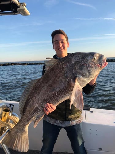 Half Day Jetty Trip - 21' Mako in Galveston