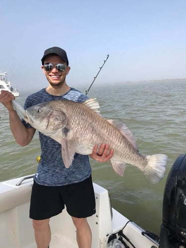 Epic Jetty Trip - 26' Angler In Galveston