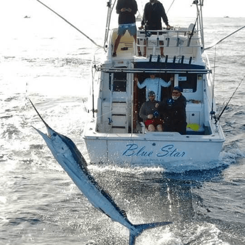 Cabo Luxury Fishing - 32' Luhrs 5-8hrs In Cabo San Lucas