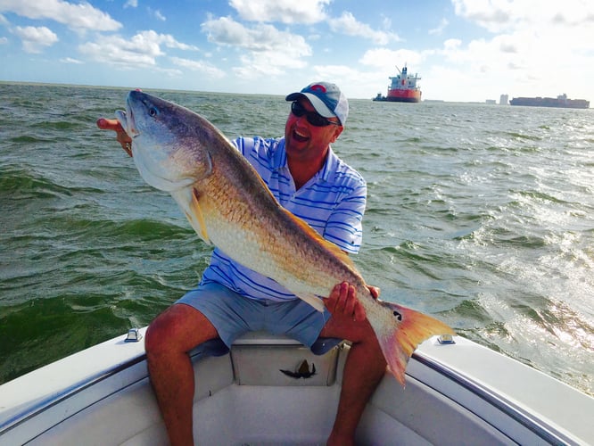 Half Day Inshore Trip In Galveston