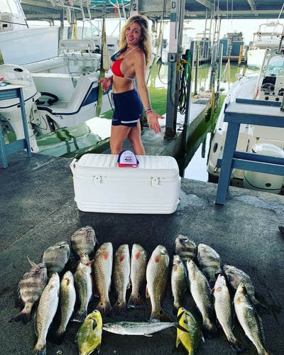 Half Day Inshore Trip In Galveston