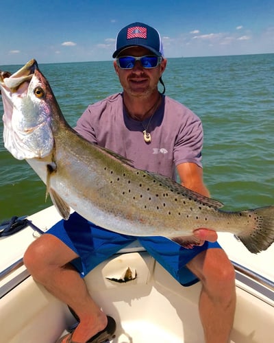 Half Day Inshore Trip In Galveston