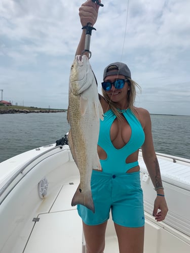 Half Day Inshore Trip In Galveston