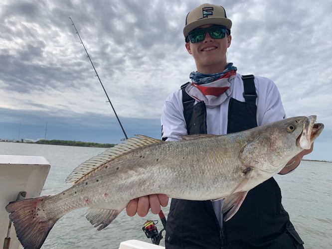 Half Day Inshore Trip In Galveston