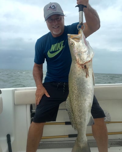 Half Day Inshore Trip In Galveston