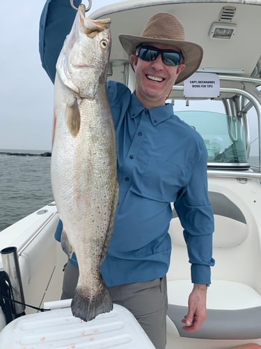 Half Day Inshore Trip In Galveston