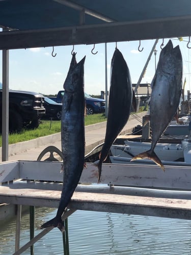 South Padre Island Deep Sea Fishing in South Padre Island