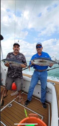 South Padre Island Deep Sea Fishing in South Padre Island