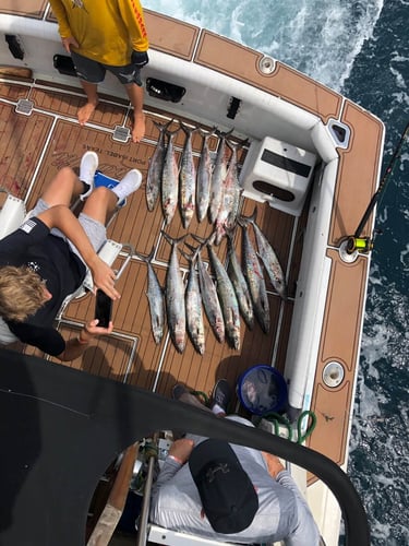 South Padre Island Deep Sea Fishing in South Padre Island