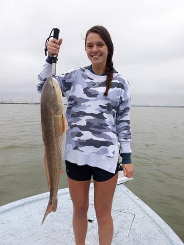 Full Day Baytown Slam in Baytown