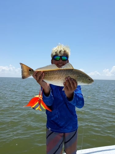 Full Day Baytown Slam in Baytown