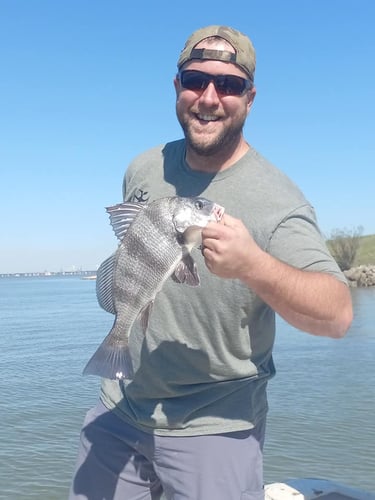 Full Day Baytown Slam in Baytown