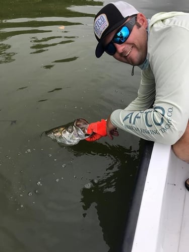 Puerto Rico Tarpon Charter In Carolina