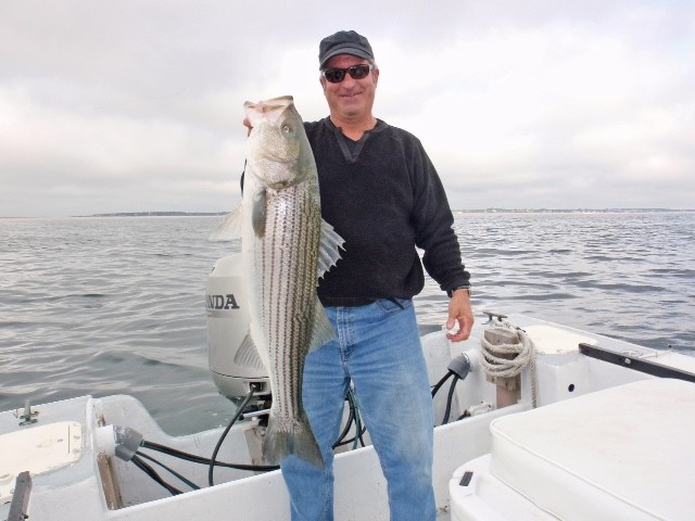 Early Season Striper - 26’ Regulator In Chatham