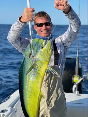 Mahi Mahi Special - 35’ Everglades In Charleston