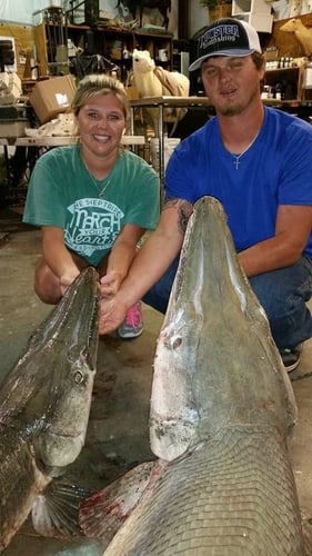 Monster Gar On Rod And Reel In Houston