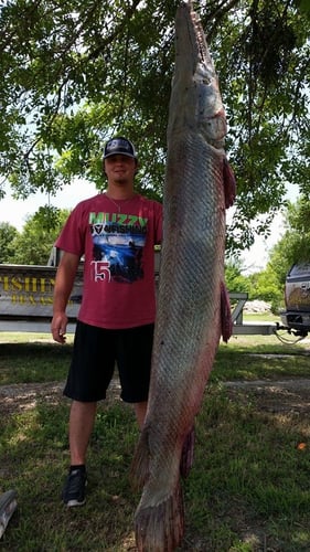 Monster Gar On Rod And Reel In Houston