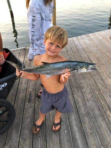 Trolling And Chilling- 40' In Orange Beach