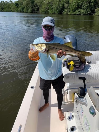 Puerto Rico Tarpon Charter In Carolina