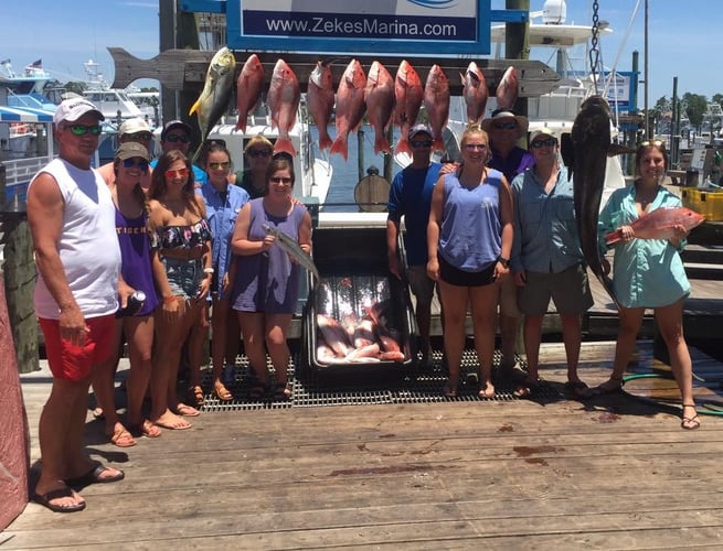 8hr Bottom Fishing Orange Beach AL Coast In Orange Beach