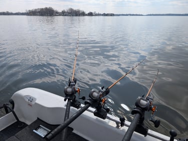 ILLINOIS FISHING REPORTS visual data 6