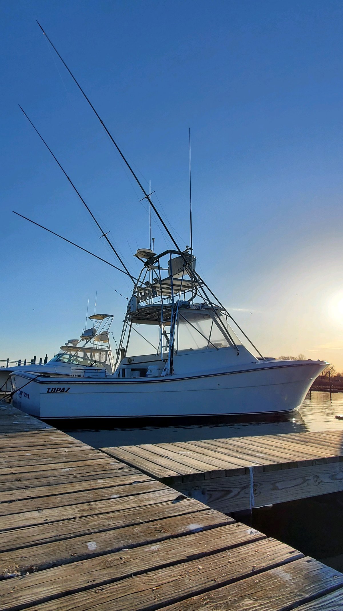Boat photo for Sharking Trips
