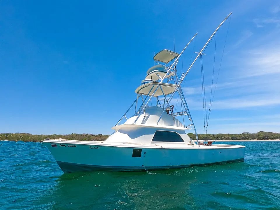 Boat photo for Offshore Trip - 31'