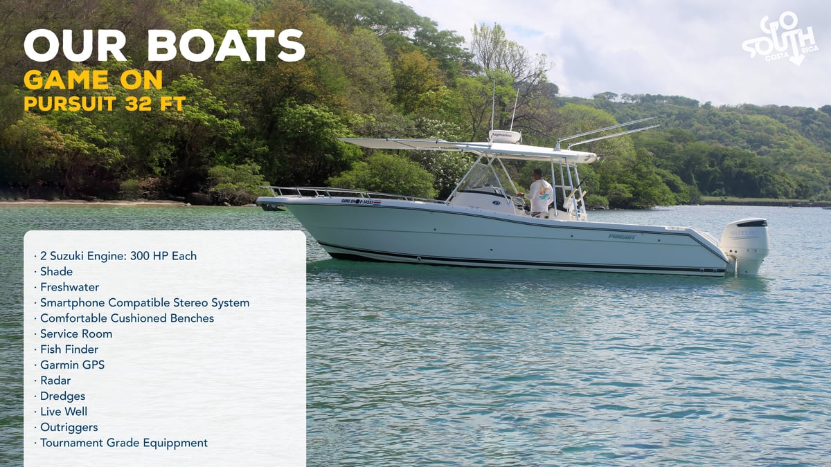 Boat photo for Sport-Fishing Half Day