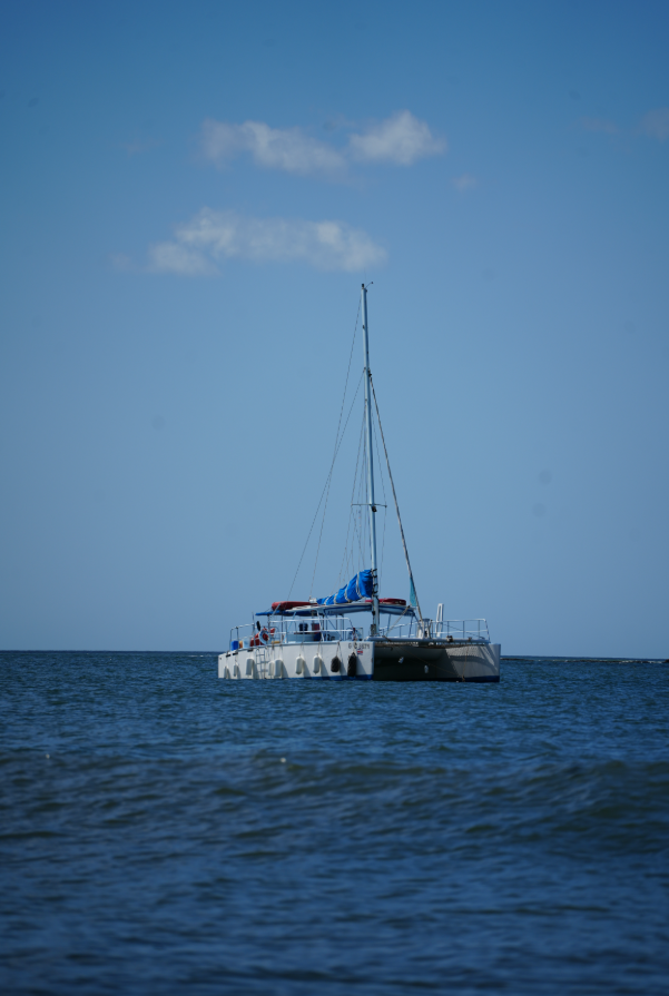 Boat photo for Public Sunset Catamaran