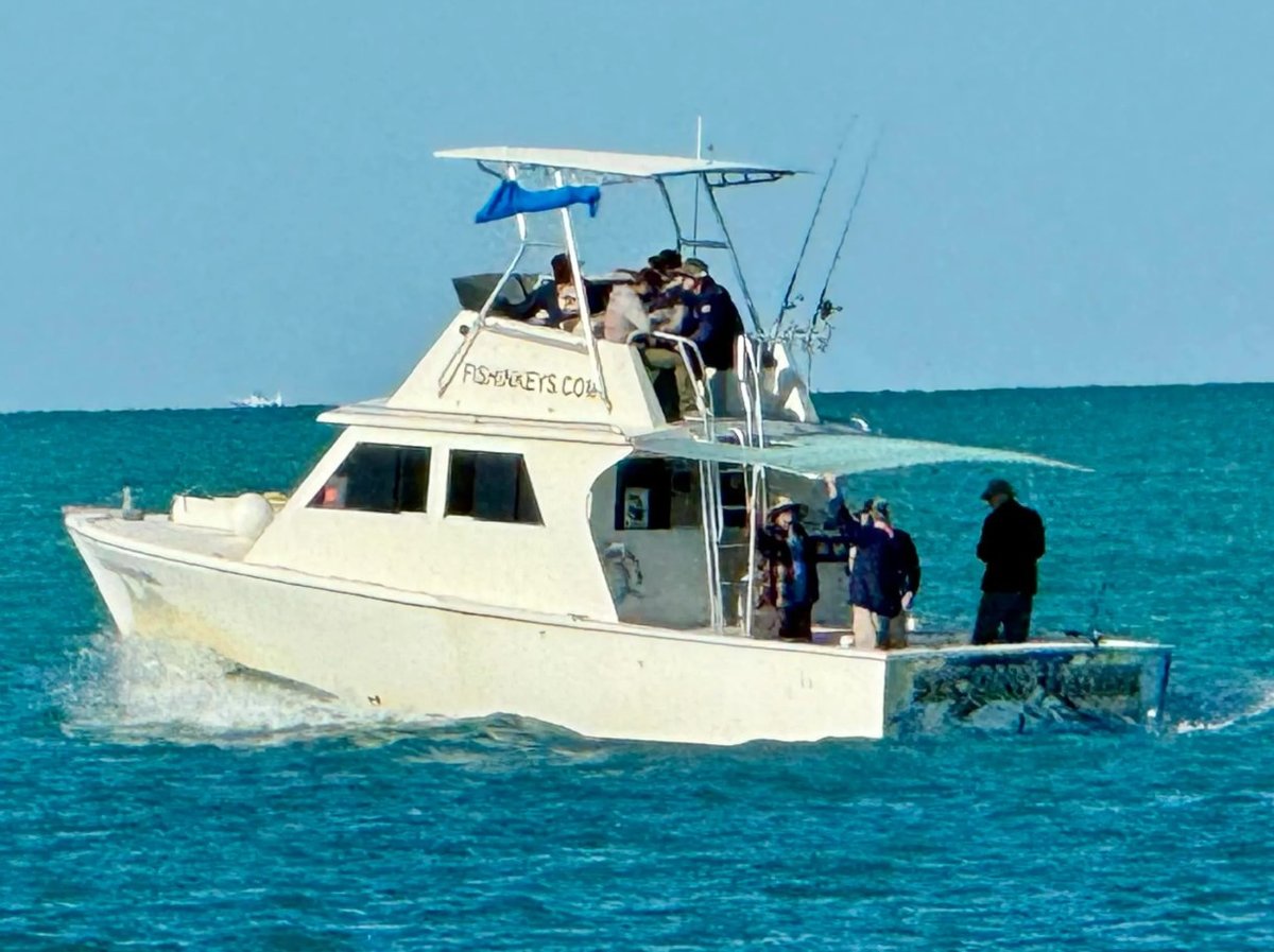 Boat photo for Swordfish / Trolling 