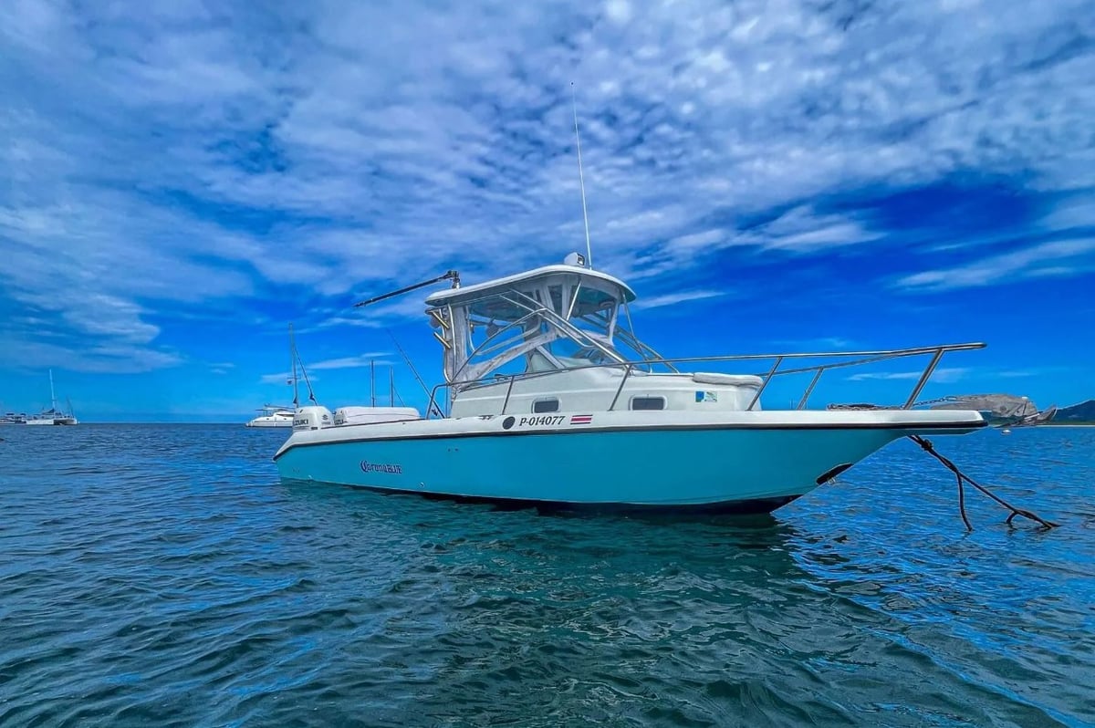 Boat photo for Big Game Fishing - 28′ Century