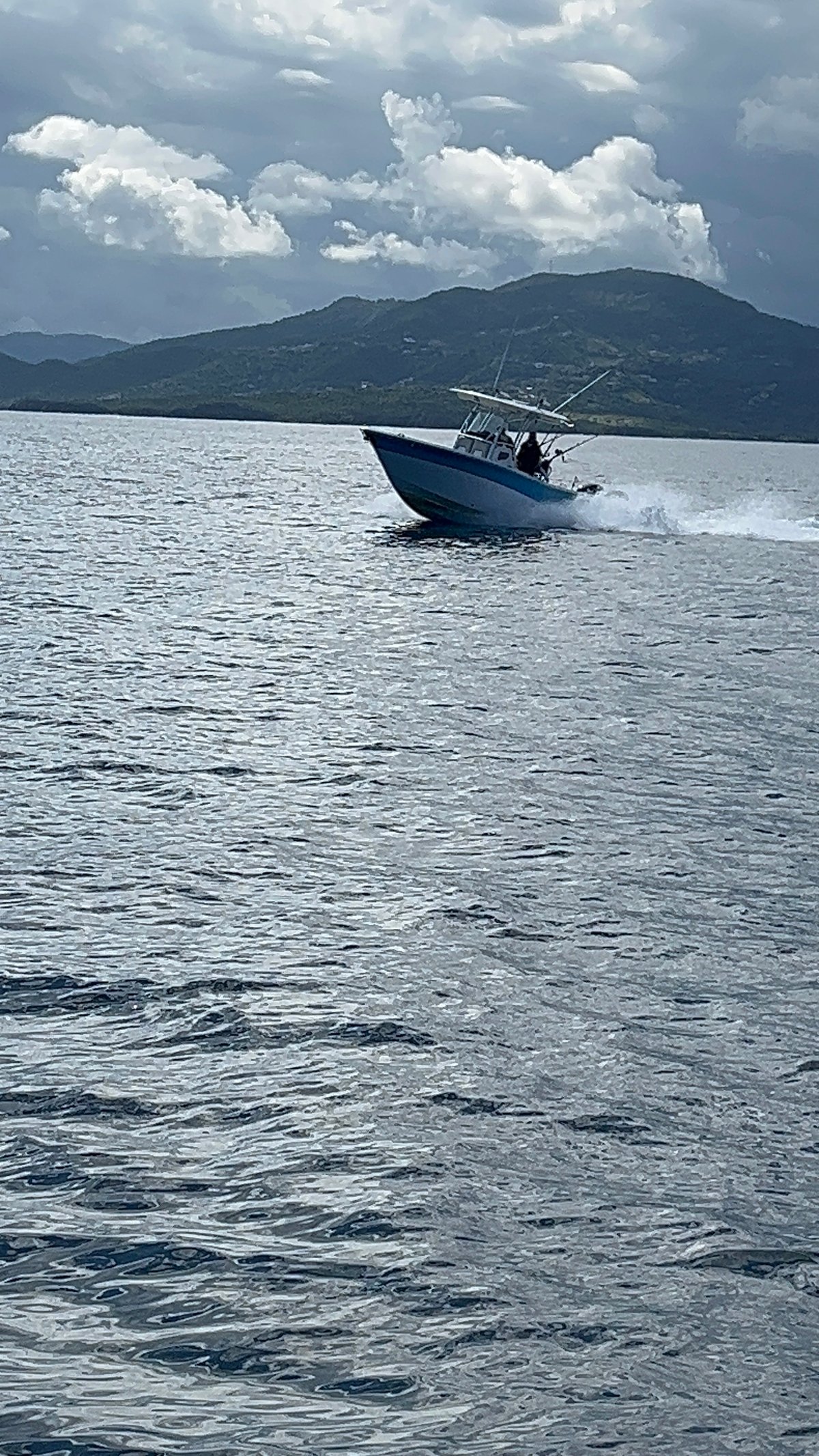 Boat photo for 4 Hour Trip AM Or PM