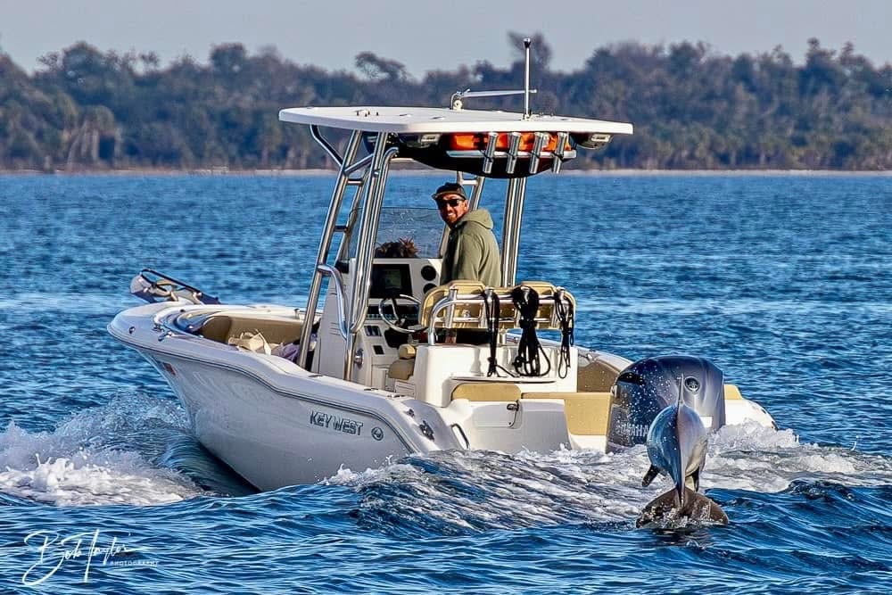 Boat photo for Dolphin Tour