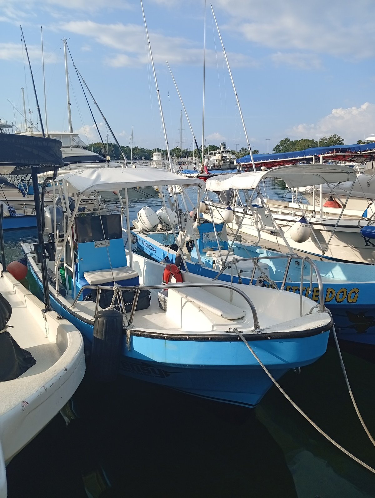 Boat photo for Deep Sea Fishing